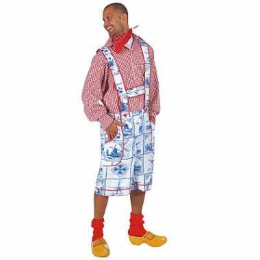 Delfts blauw carnavalspak volwassenen
