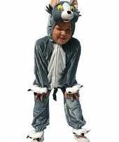 Dieren carnavalspak kat