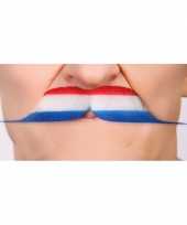 Nederlandse vlag carnavalspak accessoire snor